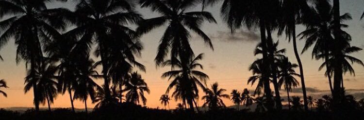 DavisLytle's profile banner image