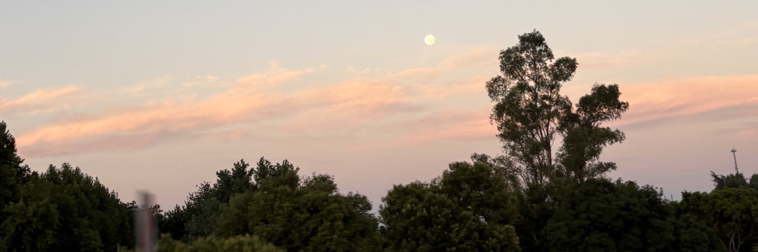 RooCanepa's profile banner image