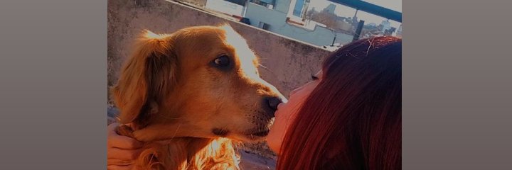 dolce_giuli's profile banner image