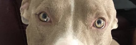 majoblue99's profile banner image
