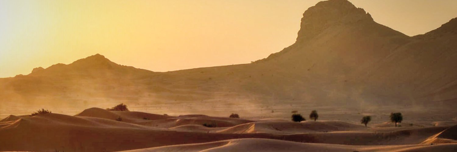elwfe's profile banner image