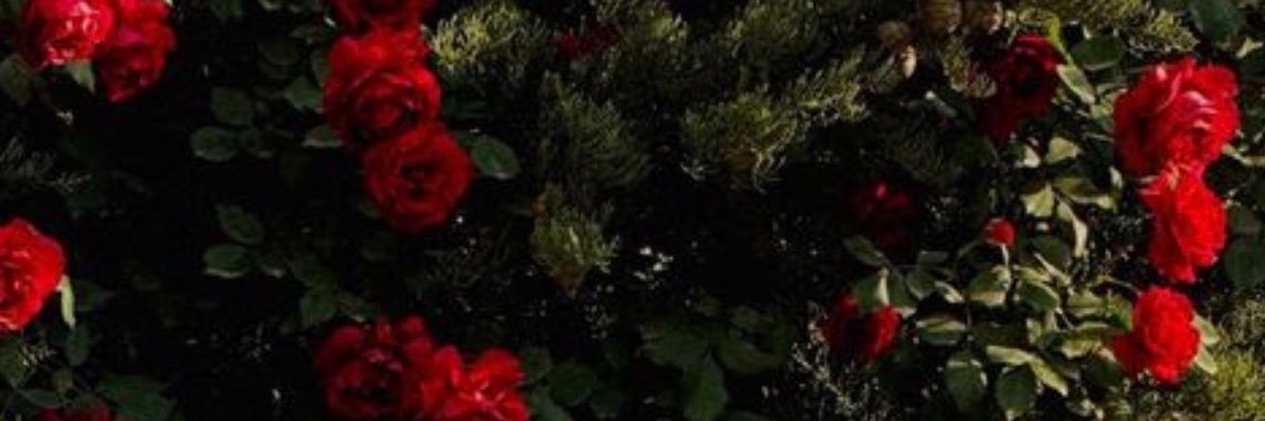 Jesslml_'s profile banner image