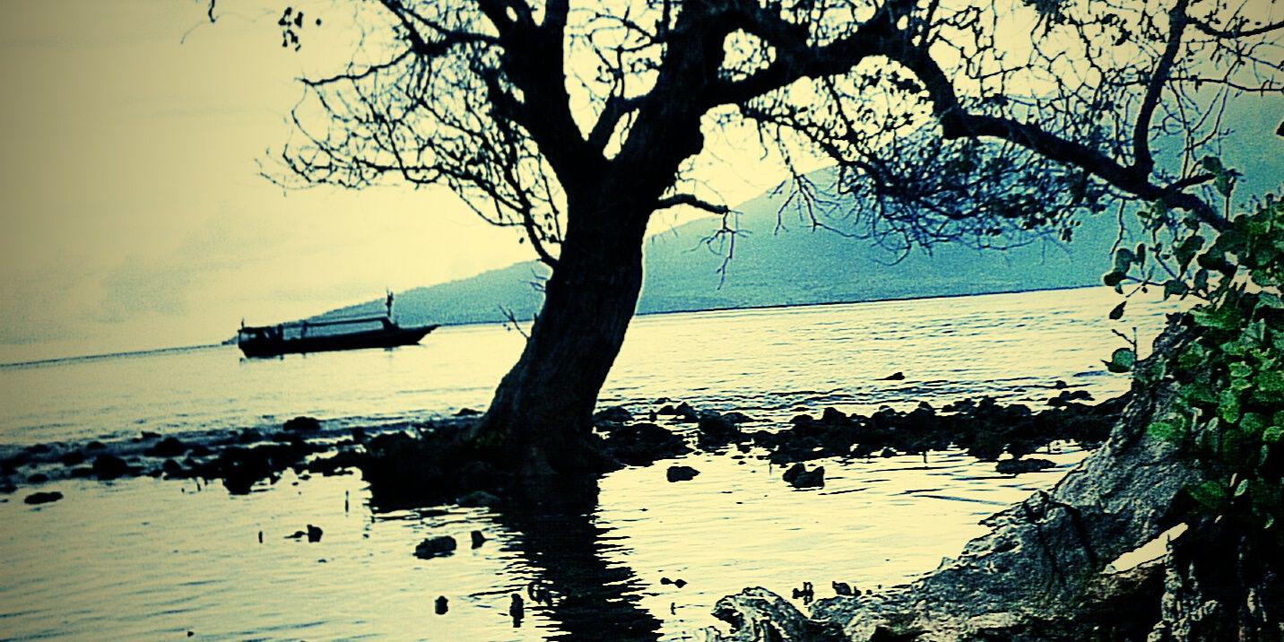 Ayuu257_SN's profile banner image