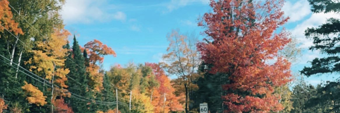 cass_ryan127's profile banner image