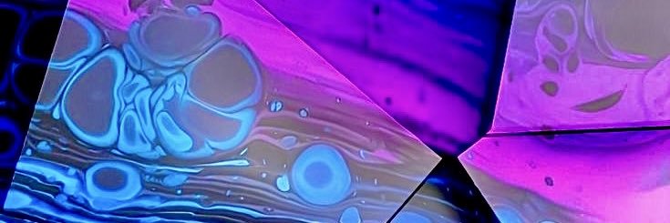 wesleyarledge's profile banner image
