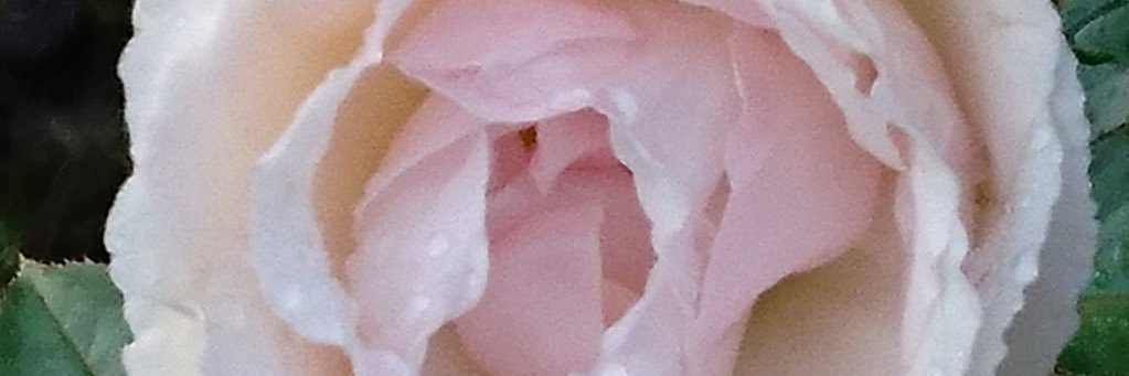 Singspinner's profile banner image