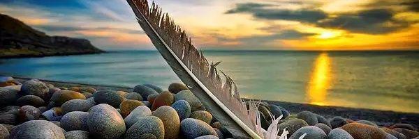 AdrianaF96's profile banner image