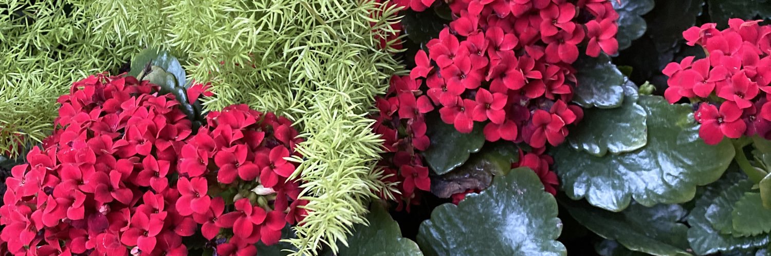 bri_steban's profile banner image