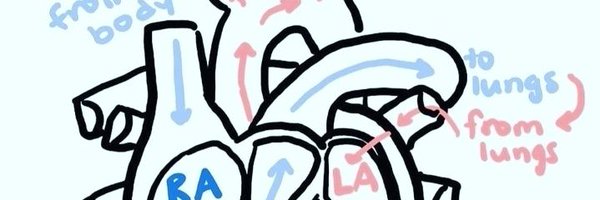 YKer916 Profile Banner