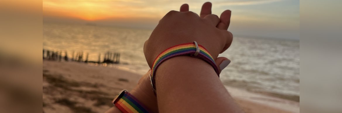 vannegamboa's profile banner image