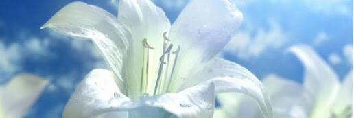 waka_0251's profile banner image