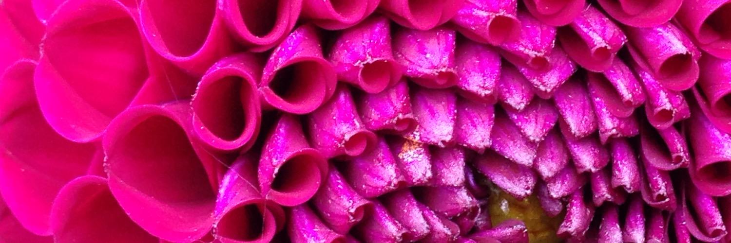 MarisaAoki's profile banner image