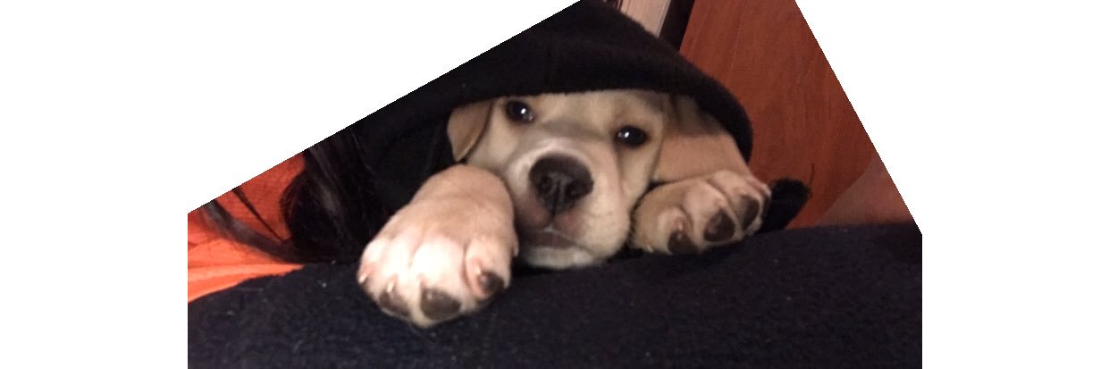𝐹𝑖𝑔𝑢𝑒𝑟𝑒𝑡𝑜 banner