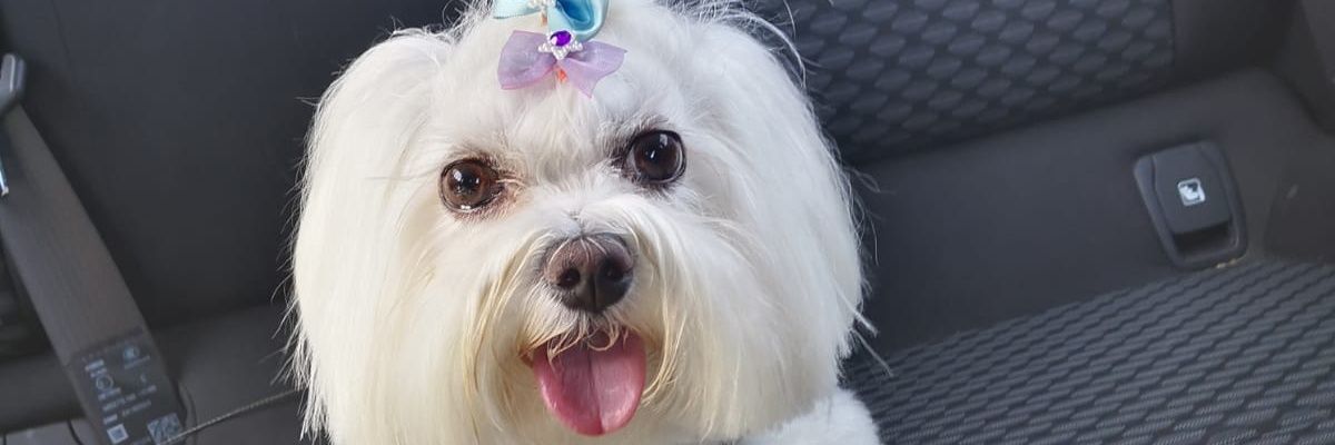 maribelconser's profile banner image