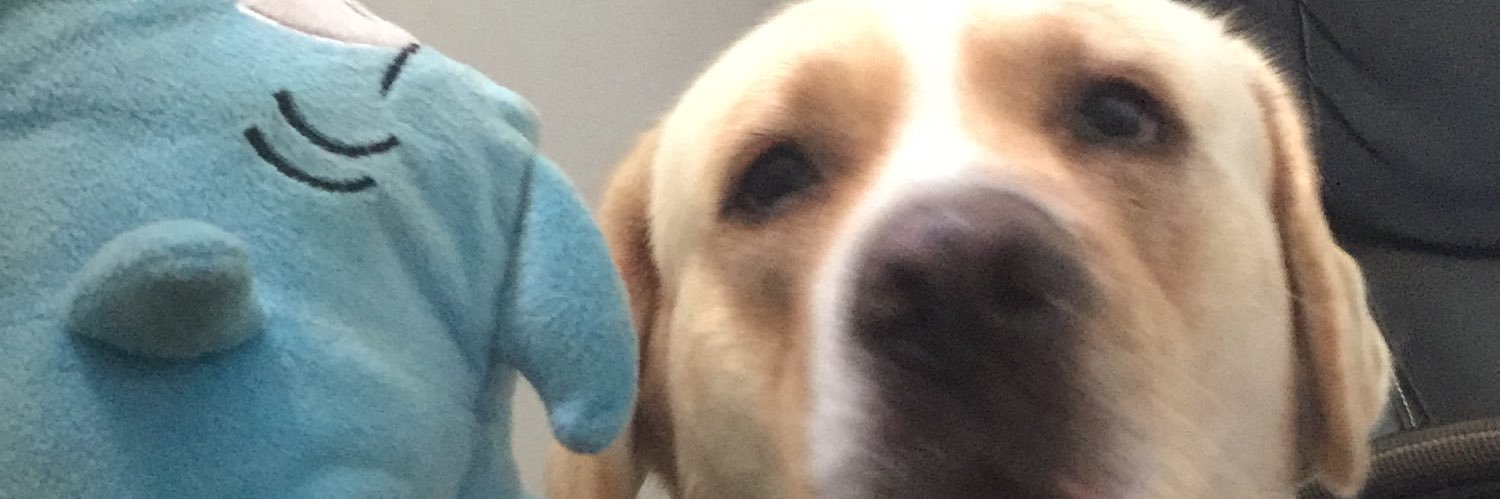 krismorte's profile banner image