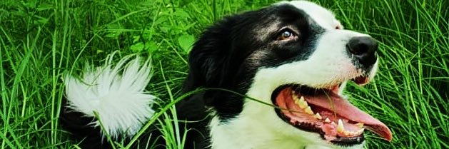 Anayelit's profile banner image