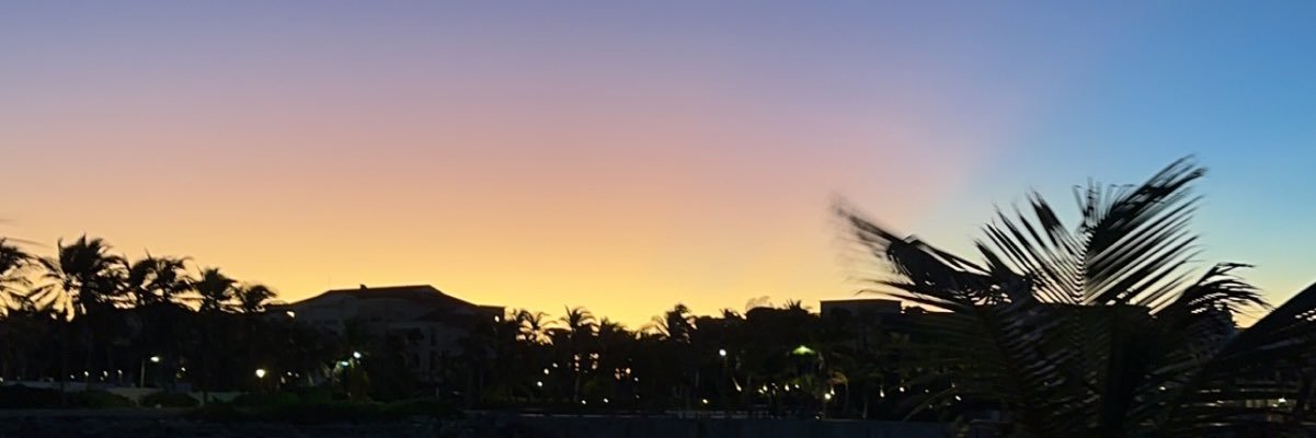 laur_rosee's profile banner image
