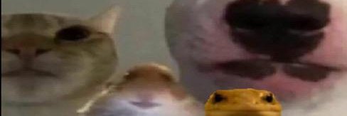 dandan hamlin mcguill banner