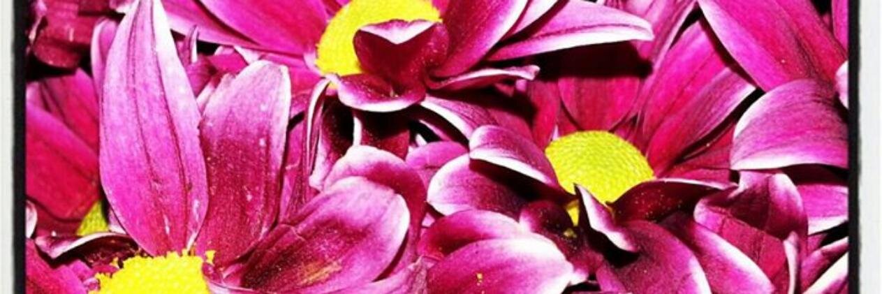 NataliaInes1981's profile banner image