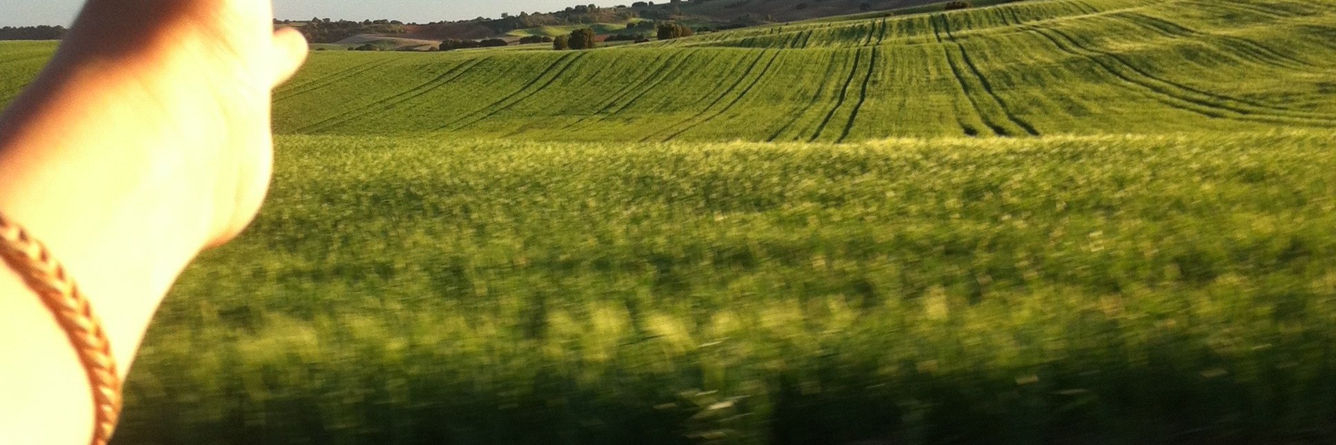 Jose Luis Molina banner