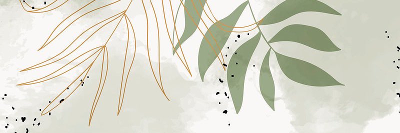 cmonahan_'s profile banner image