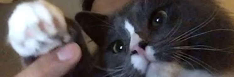 Pablo_9801's profile banner image
