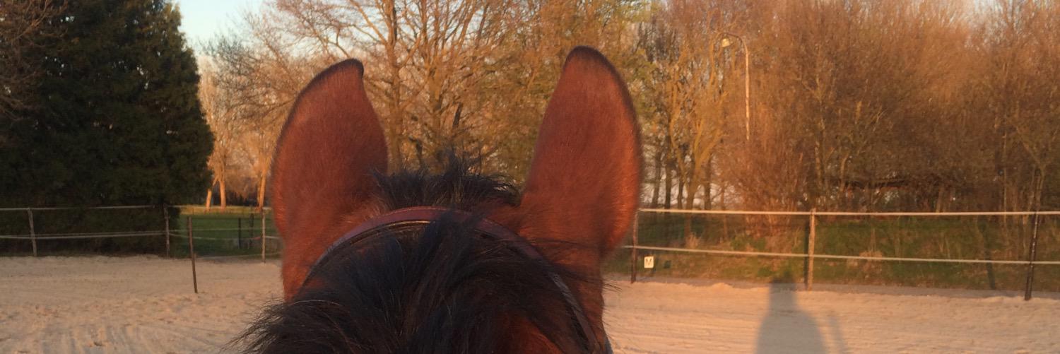 AletHollander's profile banner image