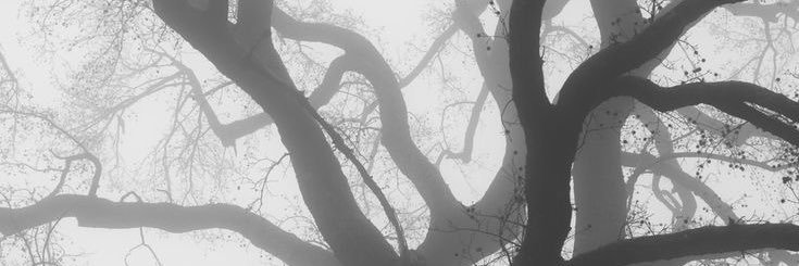 dzinntoonik's profile banner image