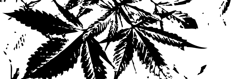 MarijuanaLegal's profile banner image