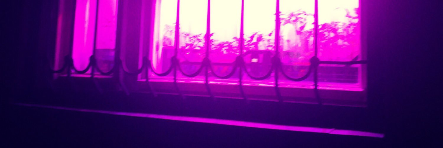 y banner