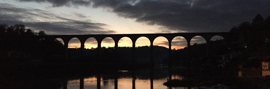 mcollinshr's profile banner image