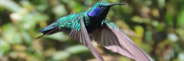 Kevin_Clements Profile Banner