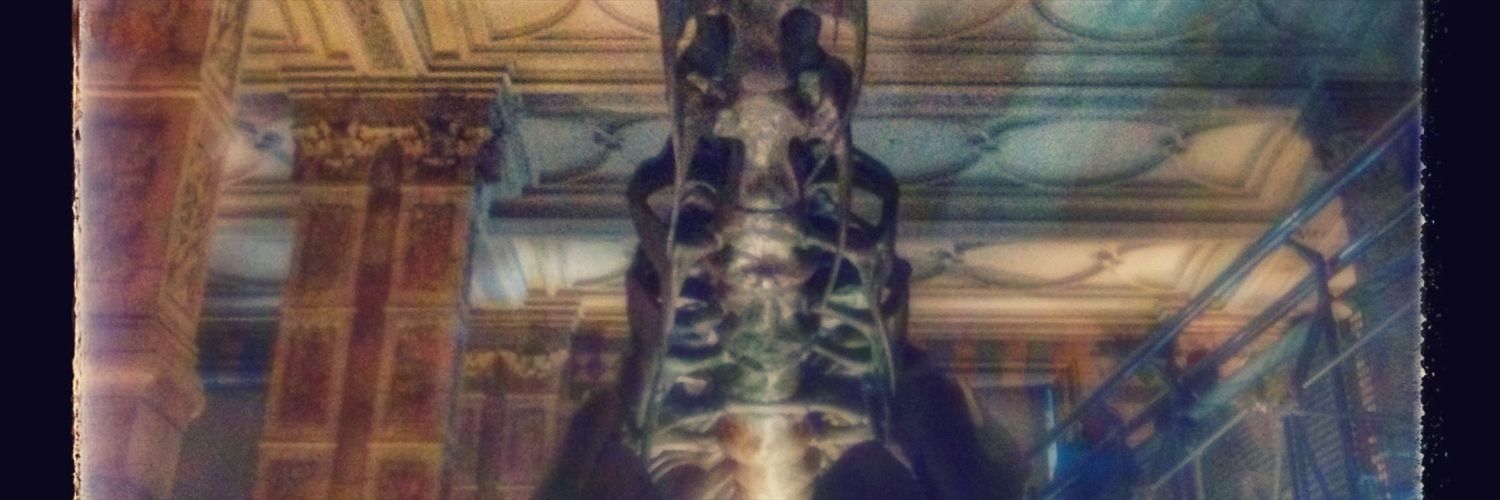 peppote13's profile banner image