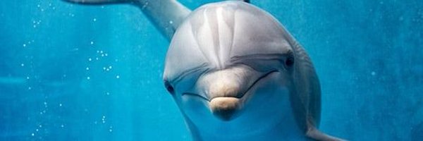 MrBulaclac Profile Banner