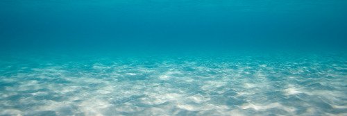Kidda🌺🐚🌊 banner
