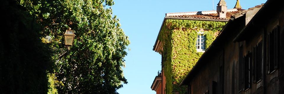 danielarodrig's profile banner image