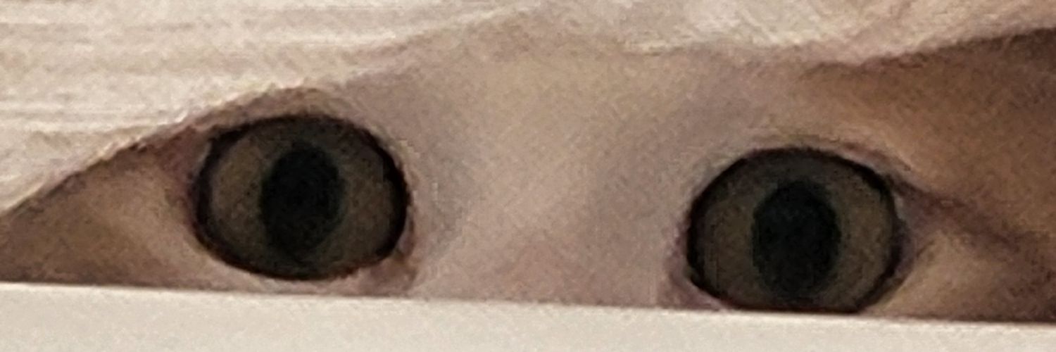 ctuallyreed's profile banner image