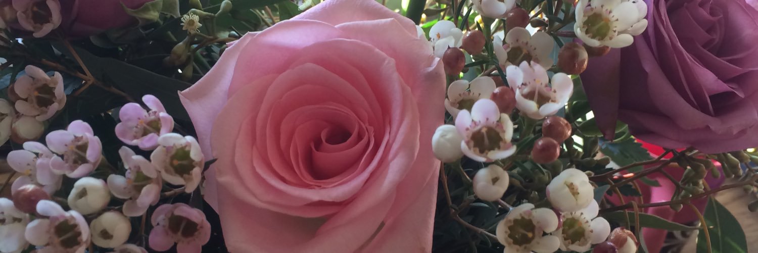 RedLenaFace's profile banner image