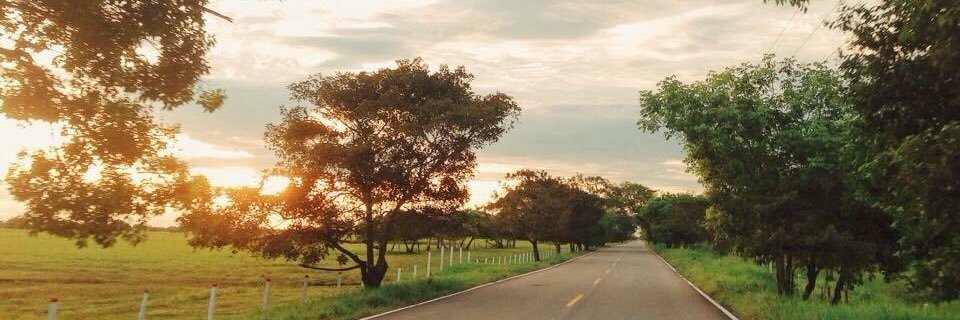 Fernada_Mume's profile banner image