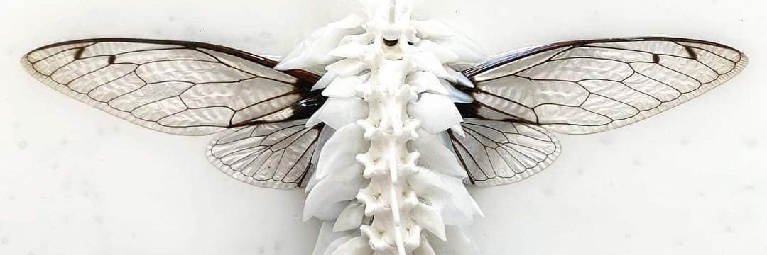 NunTheWizer's profile banner image