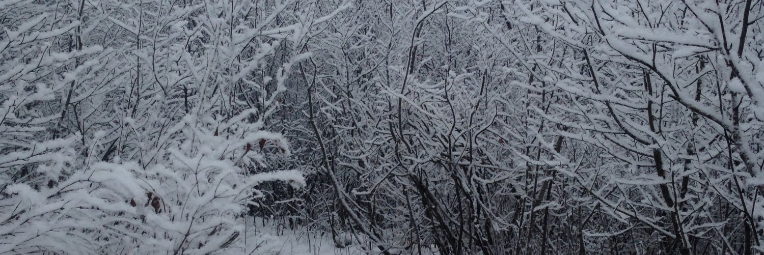 lta984's profile banner image