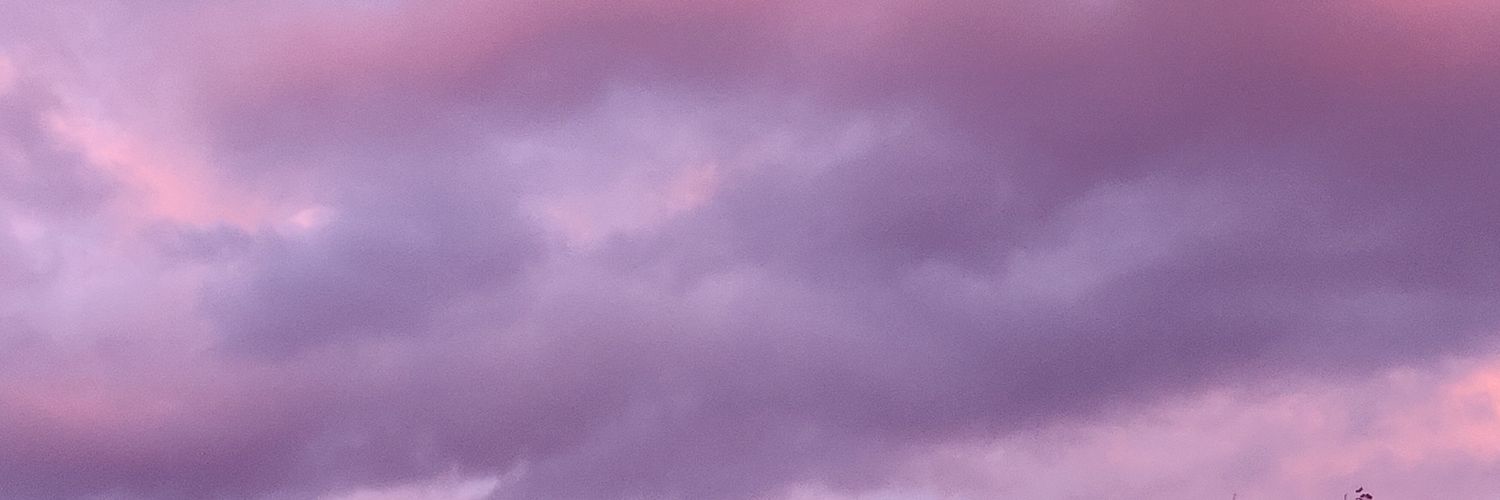 NComparini's profile banner image