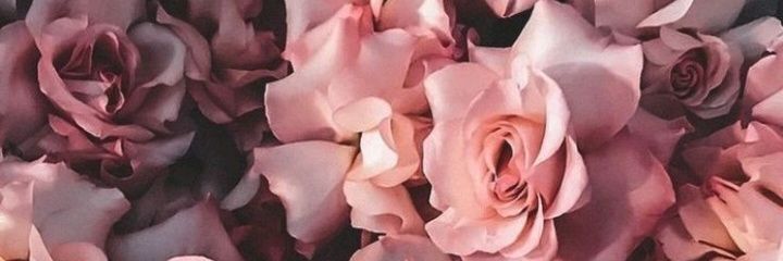 CataaM9's profile banner image