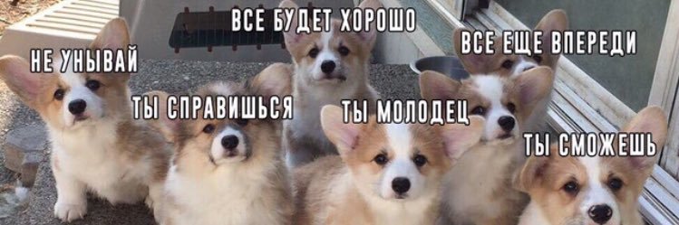 AS_Osa's profile banner image