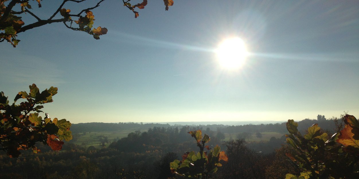 treesurvive's profile banner image