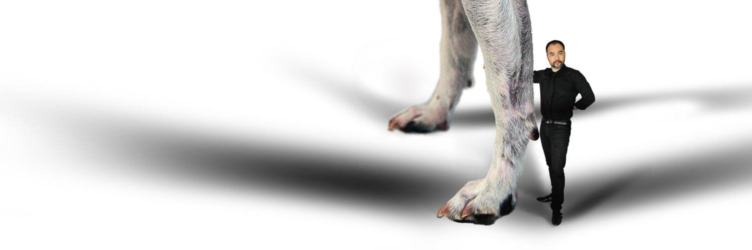 HenryLienAuthor's profile banner image