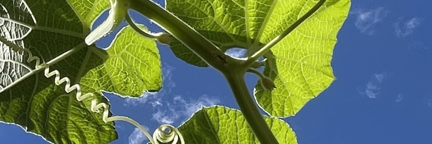 MrsJenNusbaum's profile banner image