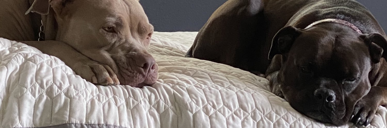 buhbecca182's profile banner image