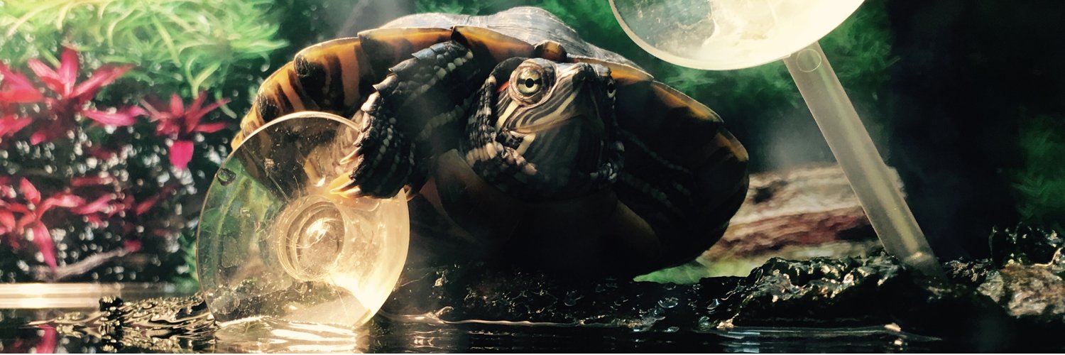 joshsmind's profile banner image