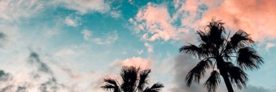 danimaarti's profile banner image